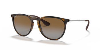Ray Ban Rb 4171 Erika 710/t5