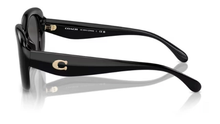 Coach HC 8391U 500287