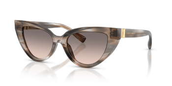 Dolce & Gabbana DG 4497 34493B