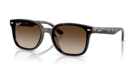 Sluneční brýle Ray-Ban RB 4461D 710/13