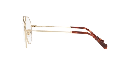 Miu Miu Mu 51Rv Zvn1O1 Brillen