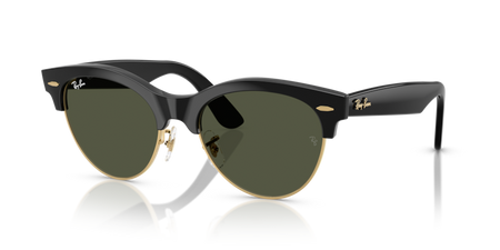 Ray-Ban RB 2341 901/31