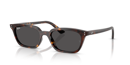 Ray-Ban RB 4456 135987