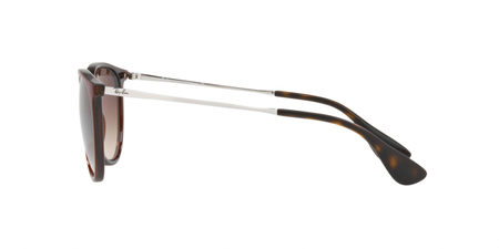 Ray-Ban RB 4171 ERIKA 631513