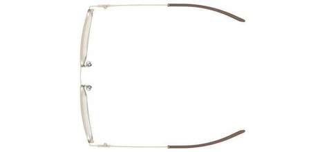Unter Armour UA 5007 G CGS Sonnenbrille