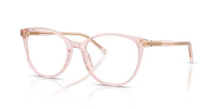 Dolce & Gabbana DG 3425 3148