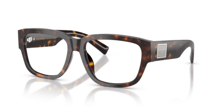 Dolce & Gabbana DG 3423 502