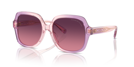 Coach HC 8395U 5813F4