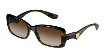 Dolce & Gabbana DG 6152 502/13