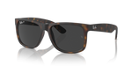 Ray-Ban RB 4165 865/87