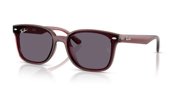 Ray-Ban RB 4461D 659373