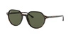 Ray Ban RB 2195 THALIA 902/31 Sonnenbrille