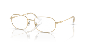 Okulary korekcyjne Swarovski SK 1005 4013