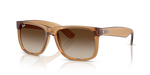 Ray-Ban RB 4165 681413