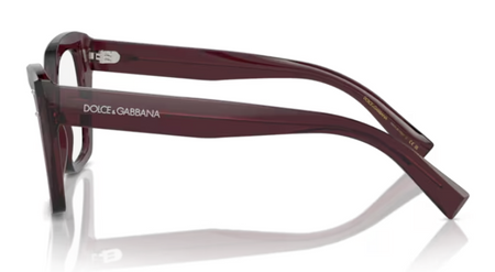 Dolce & Gabbana DG 3386 3045