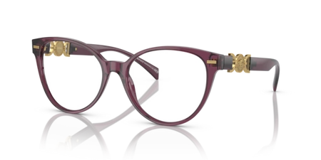 Versace VE 3334 5220