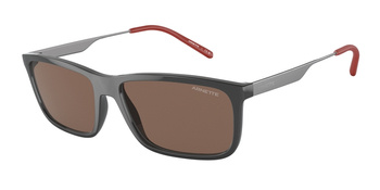 Okulary Przeciwsłoneczne Arnette AN 4305 NOSY 284373