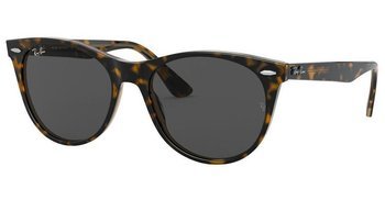 Okulary Przeciwsłoneczne Ray-Ban RB 2185 WAYFARER II 1292B1