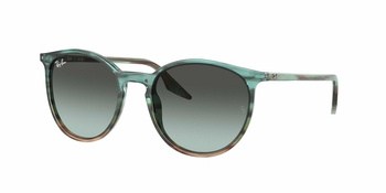 Okulary Przeciwsłoneczne Ray-Ban RB 2204 1394GK