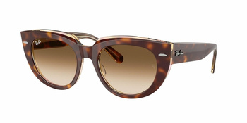 Okulary Przeciwsłoneczne Ray-Ban RB 2286 Light Havana On Transparent Multicolour