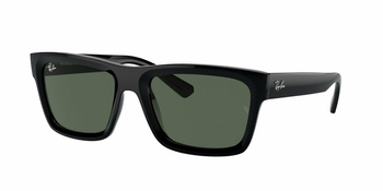 Okulary Przeciwsłoneczne Ray Ban RB 4396 Warren 667771