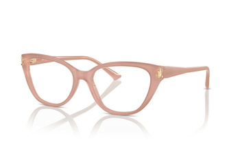 Okulary korekcyjne Jimmy Choo JC 3011 5027