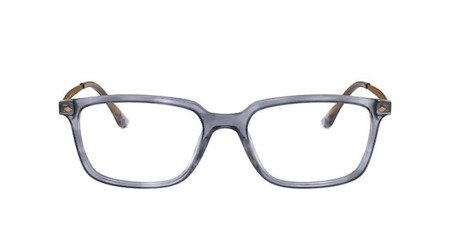 Okulary korekcyjne Giorgio Armani AR 7183 5567